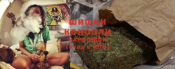 PSILOCYBIN Новодвинск