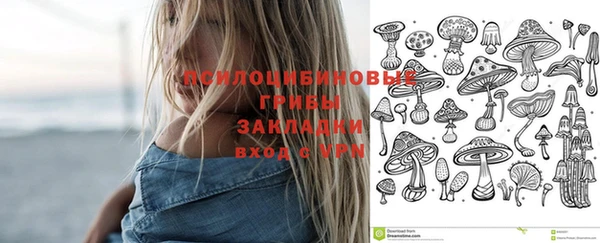 MDMA Няндома