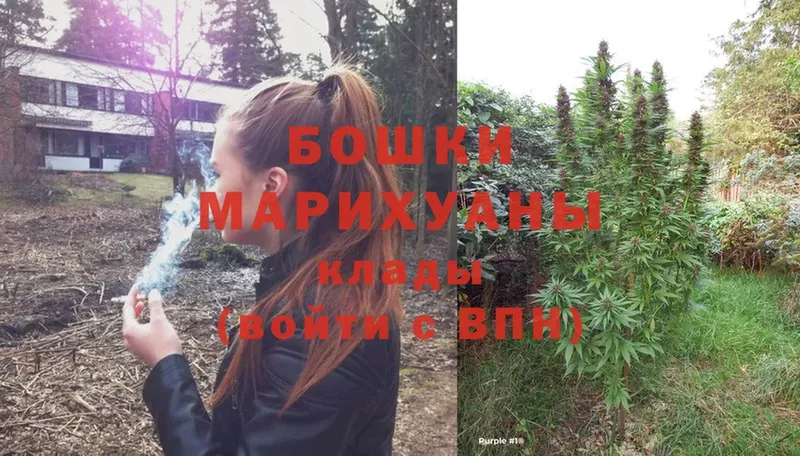 купить наркотик  Тосно  маркетплейс наркотические препараты  МАРИХУАНА SATIVA & INDICA 